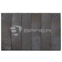 braer_9.03_2