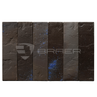 braer_1.03_3