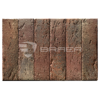 braer_55.08.1_3