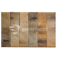 braer_3.03_3