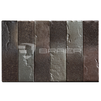 braer_10.11_3