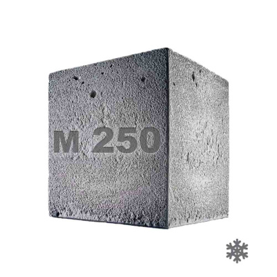 beton_m250_5_temn