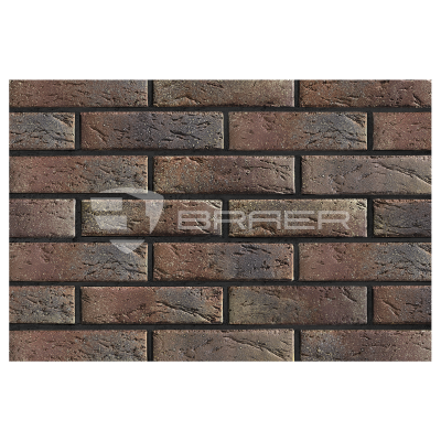 braer_55.08.1_5