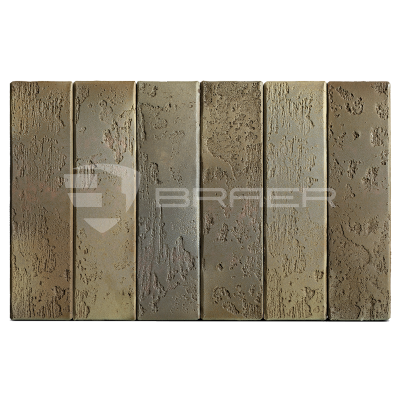 braer_2.10_2