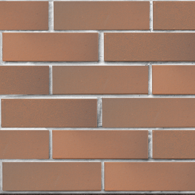 lsr_1nf_svetlokorichnevy_flesh_glad_tekst