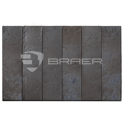 braer_9.03_2