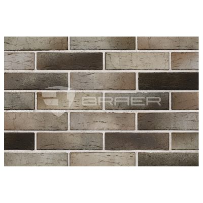 braer_14.04.1_4