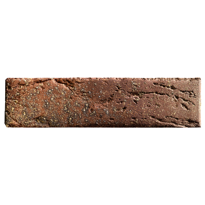 braer_55.08.1_2