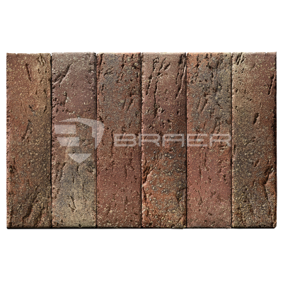braer_55.08.1_3