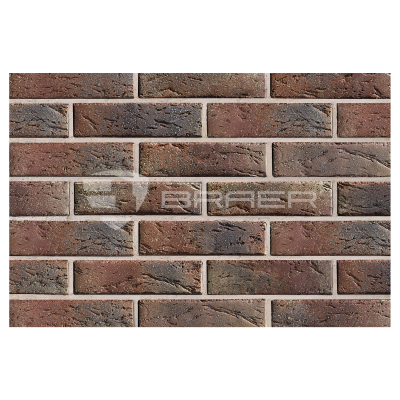 braer_55.08.1_4