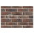 braer_55.08.1_4